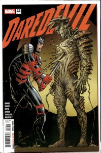 Daredevil #22 (2025)