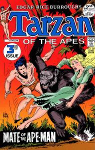 Tarzan (DC) #209 FN ; DC | 3rd DC Issue Joe Kubert
