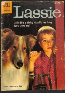 Lassie #48 