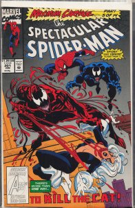 The Spectacular Spider-Man #201 (1993) Spider-Man