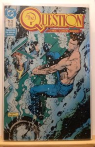 The Question #13 (1988)