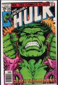 The Incredible Hulk #225 (1978) Hulk