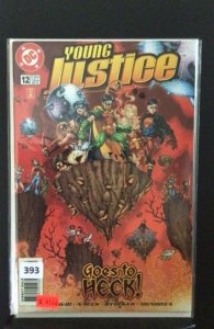 Young Justice #12 (1999)