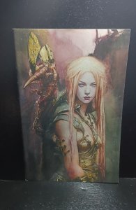 The Last Barbarians #1 (2023) Brian Haberlin virgin variant [cover D]