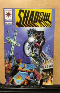 Shadowman #14 (1993)