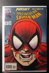 The Spectacular Spider-Man #211 (1994)