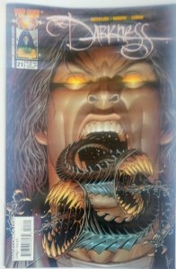 The Darkness #21 (2005)