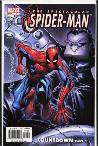 Spectacular Spider-Man #7 (2004) Spider-Man
