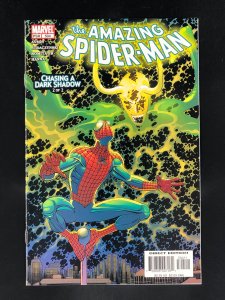 The Amazing Spider-Man #504 (2004)