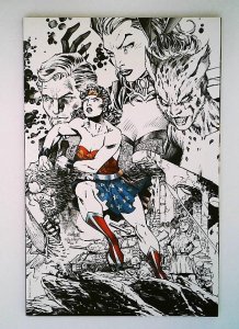 Wonder Woman #750 NM Jim Lee Torpedo Comics Variant, DC, 2020