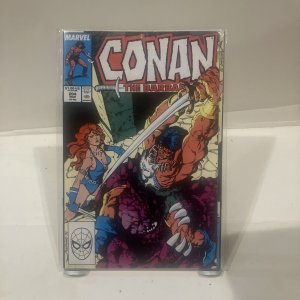 Conan The Barbarian Marvel Comics 204