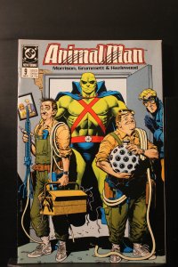 Animal Man #9 (1989)