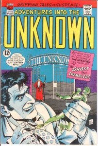 ADVENTURES INTO THE UNKNOWN 172 GOOD COMICS BOOK