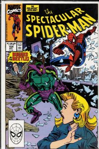The Spectacular Spider-Man #164 (1990) Spider-Man