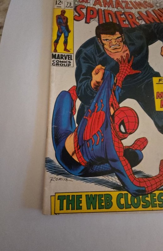 The Amazing Spider-Man #73 (1969)
