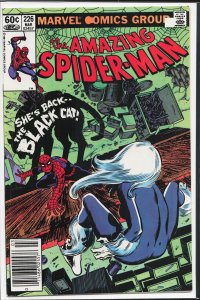 The Amazing Spider-Man #226 (1982) Spider-Man