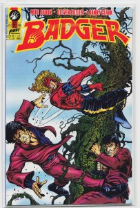 Badger #66 (1990) Badger