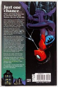 The Amazing Spider-Man: Until the Stars Turn Cold (2003)