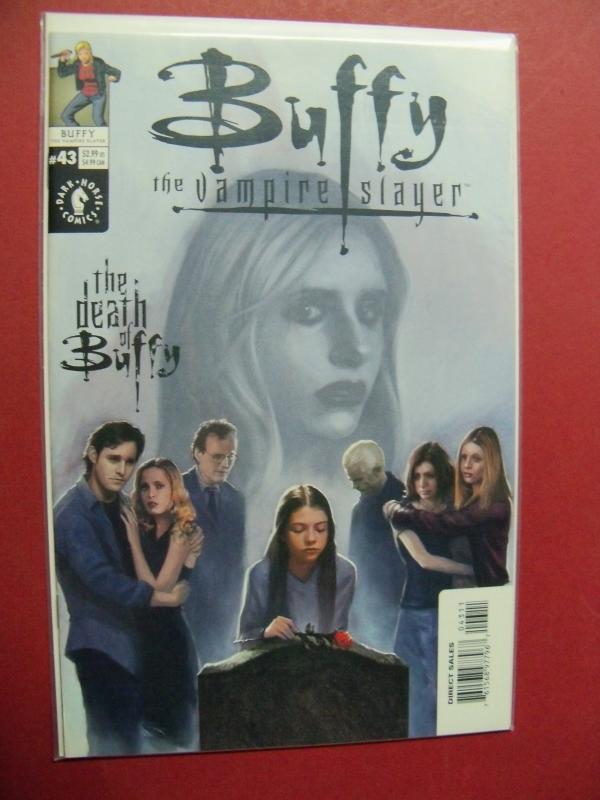 BUFFY THE VAMPIRE SLAYER #43 ART COVER (9.4 or better) DARK HORSE