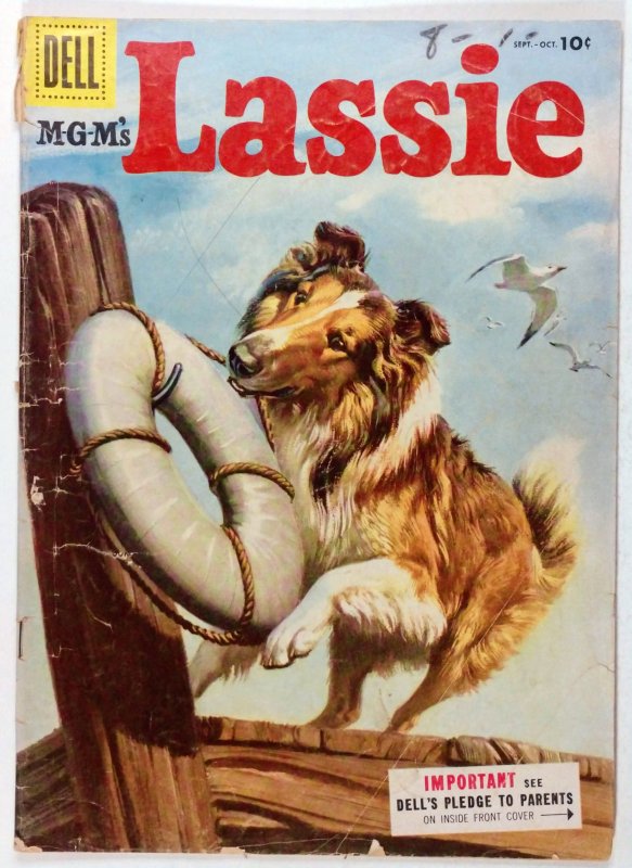 Lassie #24