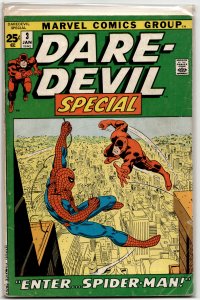 Daredevil Annual #3 (1972) Daredevil