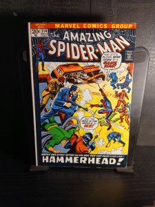 The Amazing Spider-Man #114 (1972)