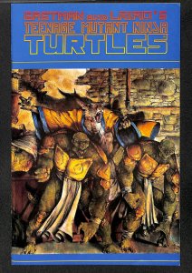 Teenage Mutant Ninja Turtles #35