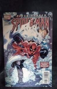 Peter Parker: Spider-Man #51 (2003)