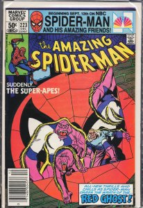 The Amazing Spider-Man #223 (1981) Spider-Man