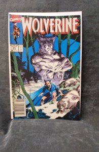 Wolverine #25 (1990)