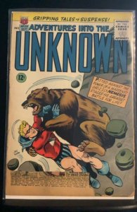 Adventures into the Unknown #159 (1965)