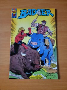 The Badger #42 ~ NEAR MINT NM ~ 1988 First Comics