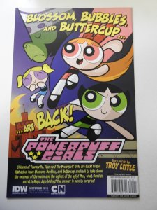 Teenage Mutant Ninja Turtles #26 Cover B (2013) NM Condition