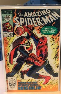 The Amazing Spider-Man #250 (1984) 8.0 VF