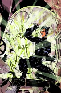Catwoman #22 DC Comics Comic Book