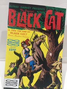 The Original Black Cat #5 (1991)