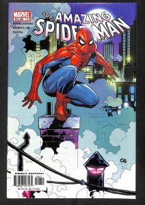 The Amazing Spider-Man #48 (2003)