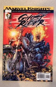 Ghost Rider #1 (2001) Marvel Knights Devin Grayson Story Trent Kaniuga Art