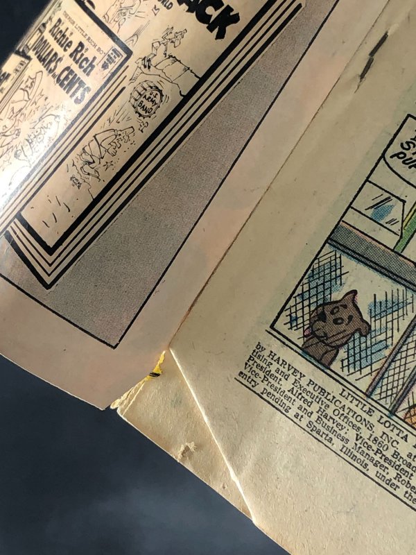 Little Lotta Foodland #13