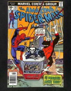 Amazing Spider-Man #162 FN 6.0 Punisher!