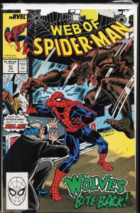 Web of Spider-Man #51 (1989) Spider-Man