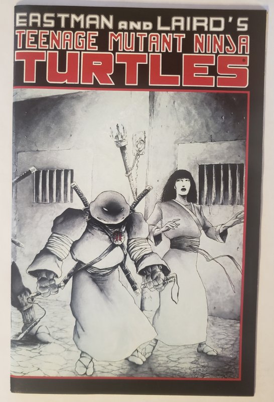 Teenage Mutant Ninja Turtles 17