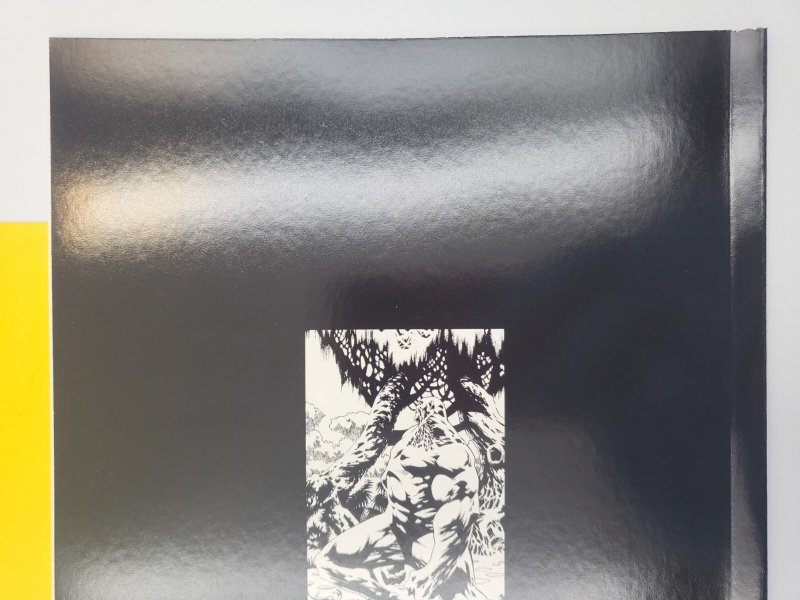 Swamp Thing Winter Special #1 1st Print 2018 DC Comics Tom King