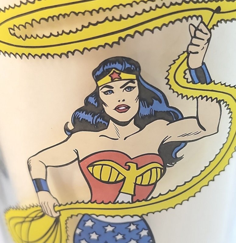 DC Comics Wonder Women 16oz Acrylic Double Walled Tumbler With