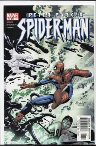 Peter Parker: Spider-Man #49 (2002) [Key Issue]