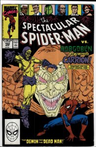 The Spectacular Spider-Man #162 (1990) Spider-Man
