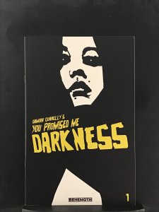 You Promised Me Darkness #1 Second Print Cover (2021)