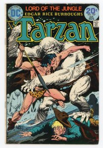 Edgar Rice Burroughs' Tarzan #227 Joe Kubert FN+