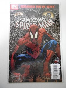 The Amazing Spider-Man #553 (2008)