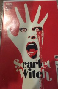 Scarlet Witch #14 (2017)